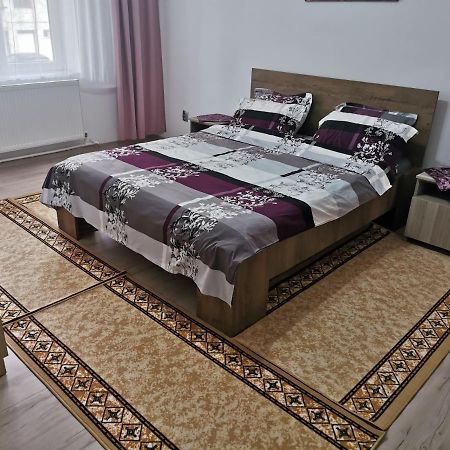 Apartament Bucovina Apartment Campulung Moldovenesc Bagian luar foto