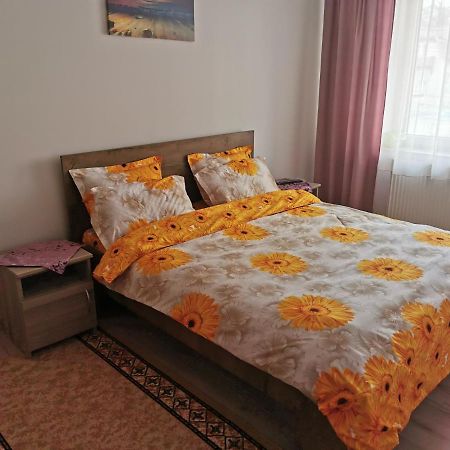 Apartament Bucovina Apartment Campulung Moldovenesc Bagian luar foto