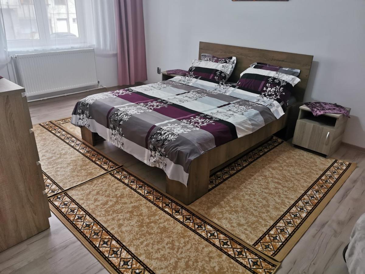 Apartament Bucovina Apartment Campulung Moldovenesc Bagian luar foto