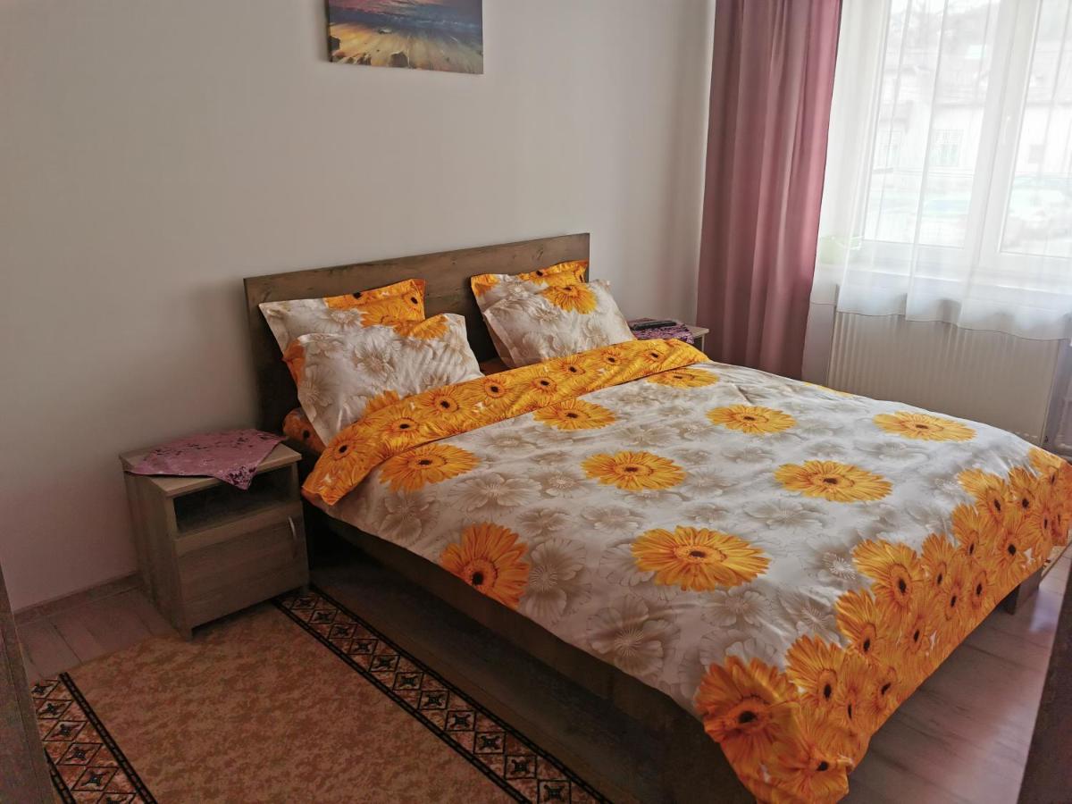 Apartament Bucovina Apartment Campulung Moldovenesc Bagian luar foto