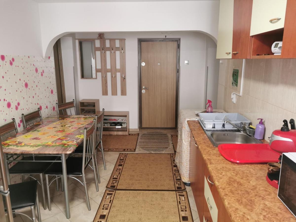 Apartament Bucovina Apartment Campulung Moldovenesc Bagian luar foto