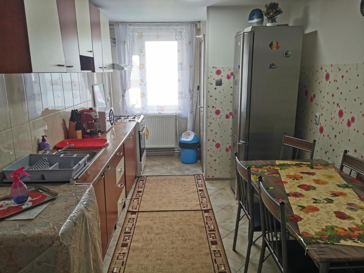 Apartament Bucovina Apartment Campulung Moldovenesc Bagian luar foto